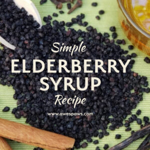 Simple Ingredients for Elderberry Syrup